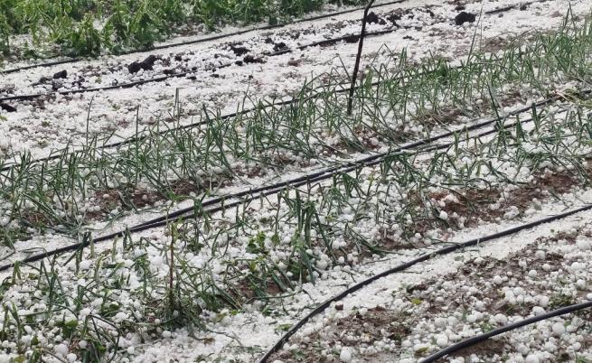 Бури и градушки удариха в България