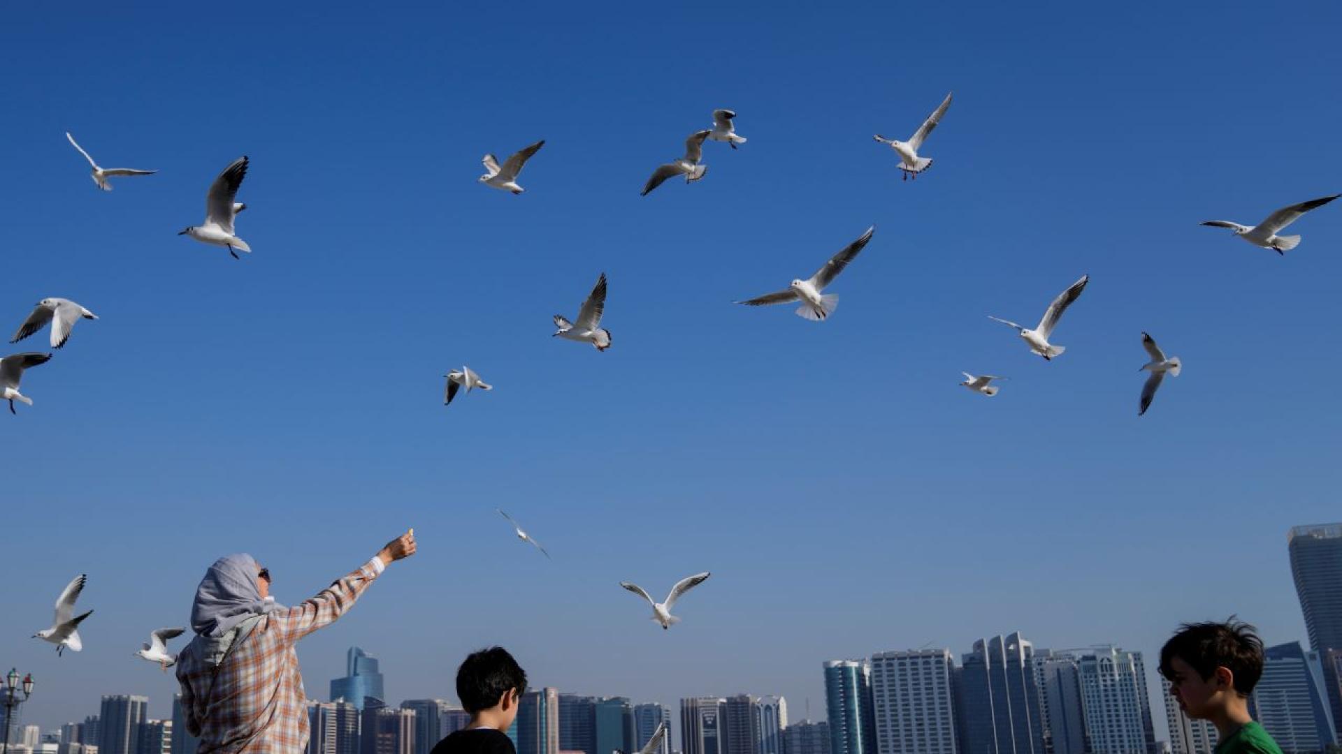 Обединените арабски емирства днес обявиха че днес са регистрирали рекордната