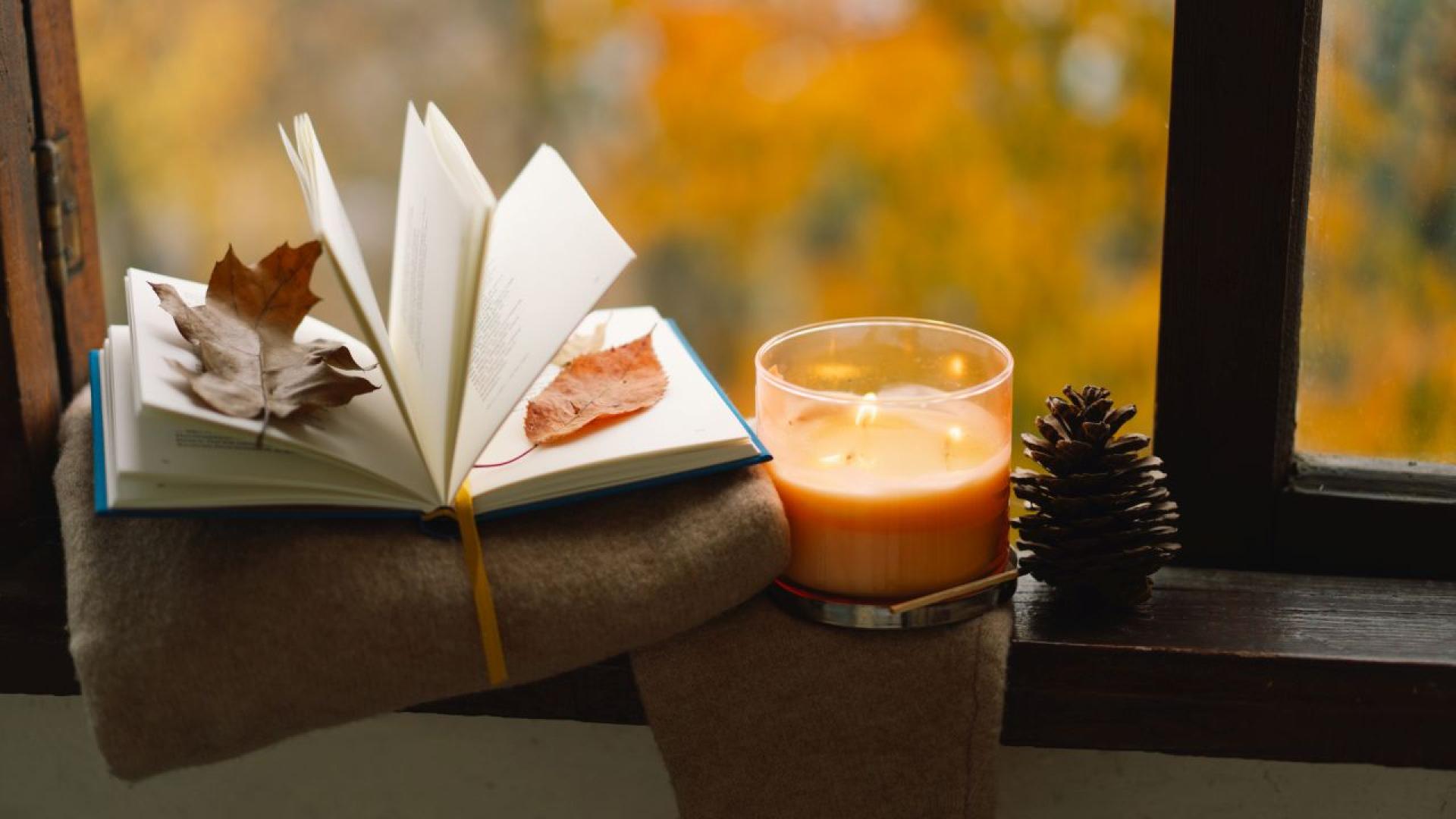 Над 80 от българите определят четенето на книги като важно