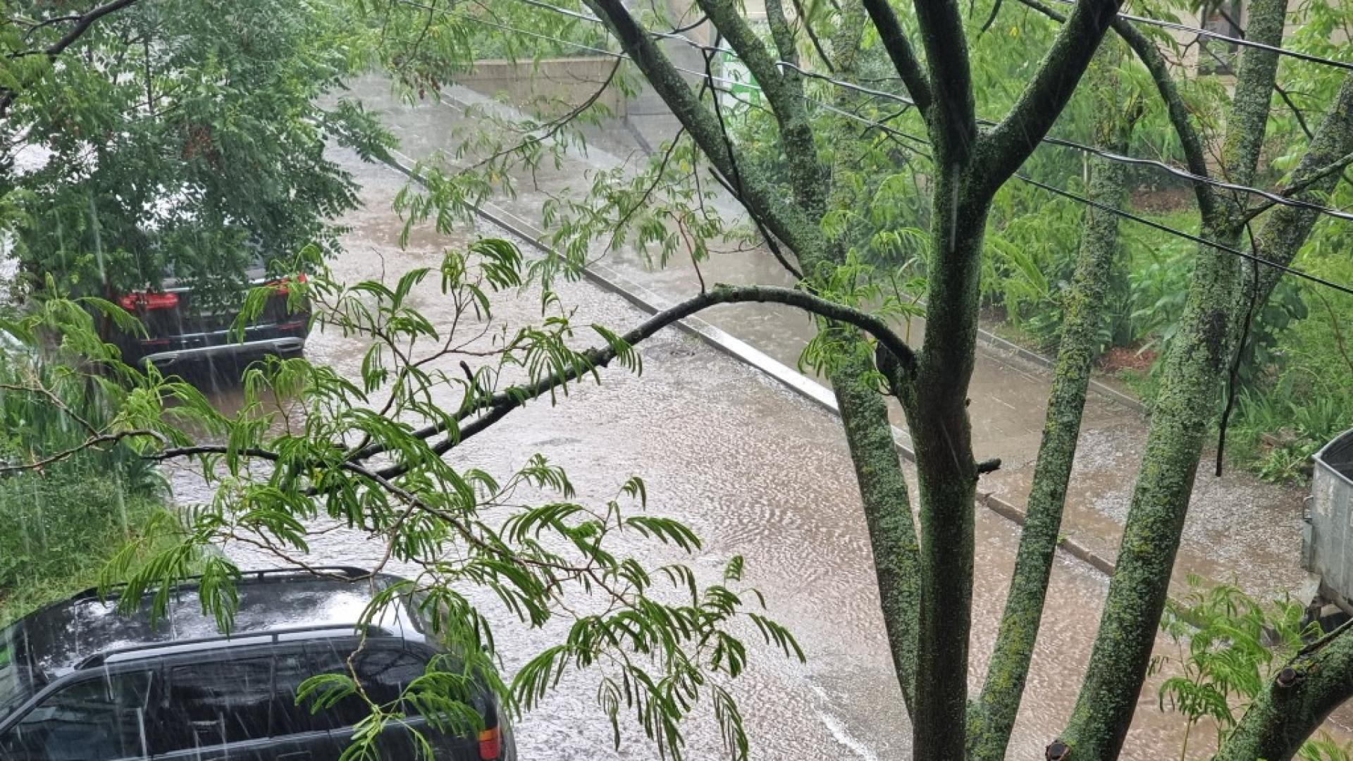 Проливен дъжд се изля над Плевен тази вечер Падналото количество