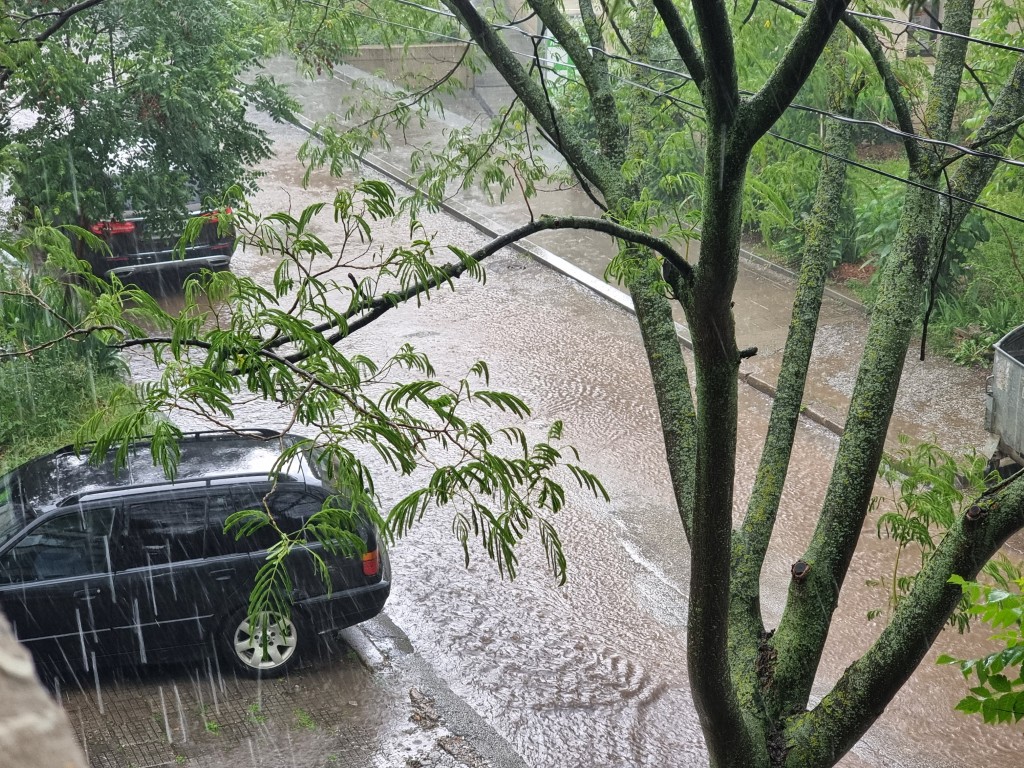 Порой заля Плевен