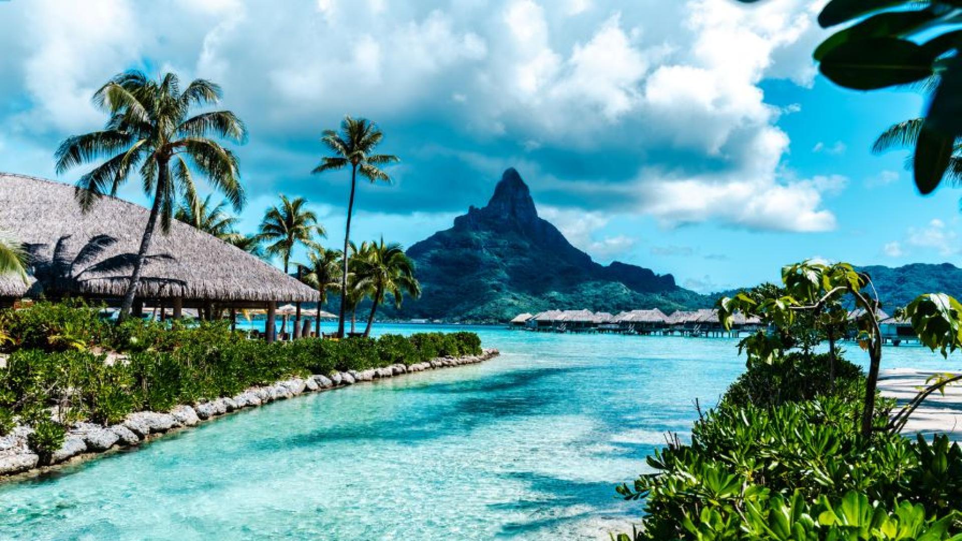 Колкото и нетърпеливо да очакваме лятната отпуска наред с ентусиазма