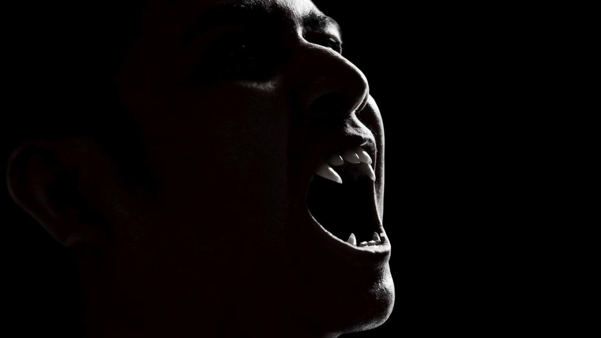 Мафиоти Лекари Политици Музиканти   Каква е общата нишка свързваща тези на