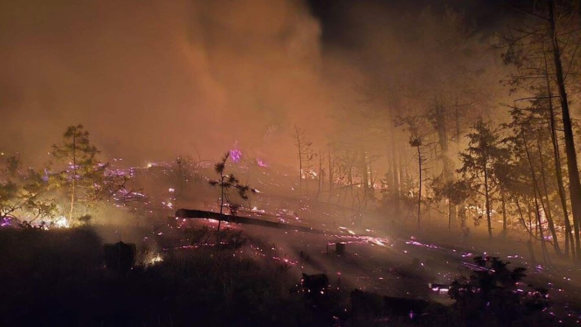 Пожар гори в труднодостъпен район над Струмяни в Благоевградско Пламъците са