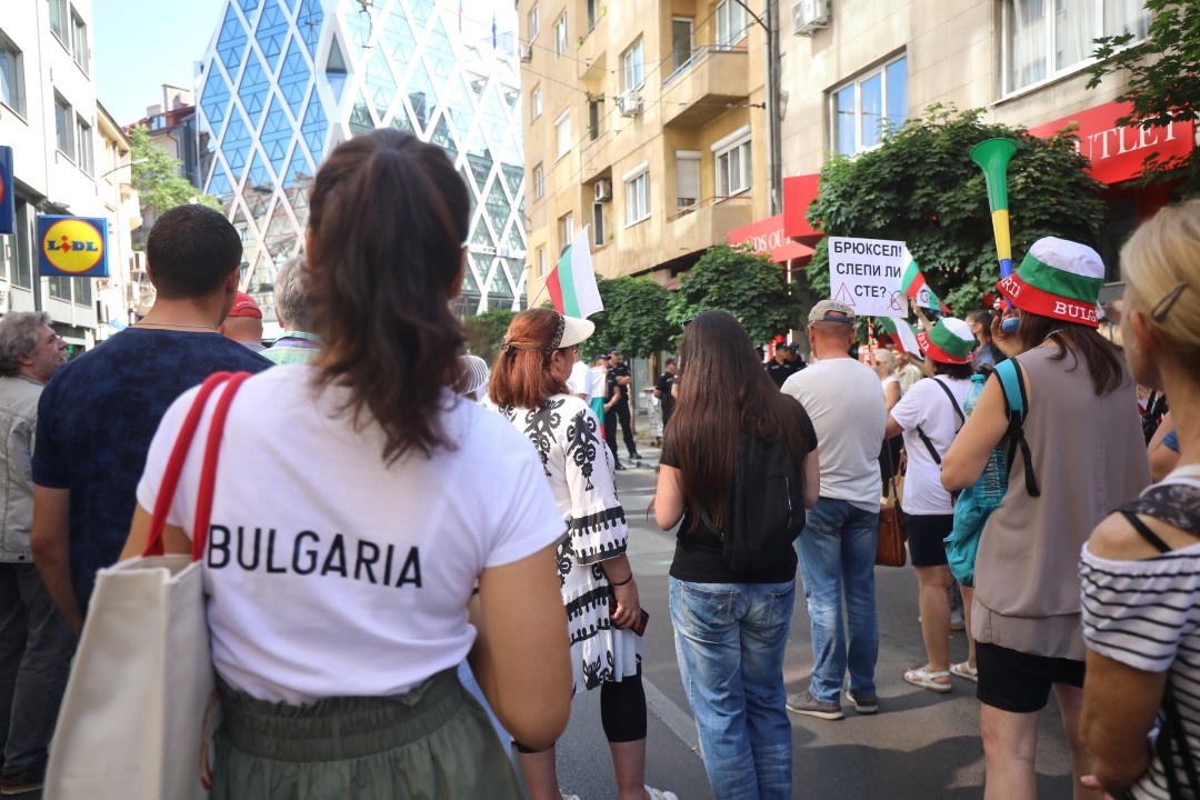 <p>Граждани се събраха в улиците в близост до сградата на Европейската комисия и Европейския парламент в столицата и протестират с искане за запазване на българския лев. Организатори на събитието са Гражданска инициатива &quot;Будители&quot;. В района има засилено полицейско присъствие, а движението е ограничено.</p>