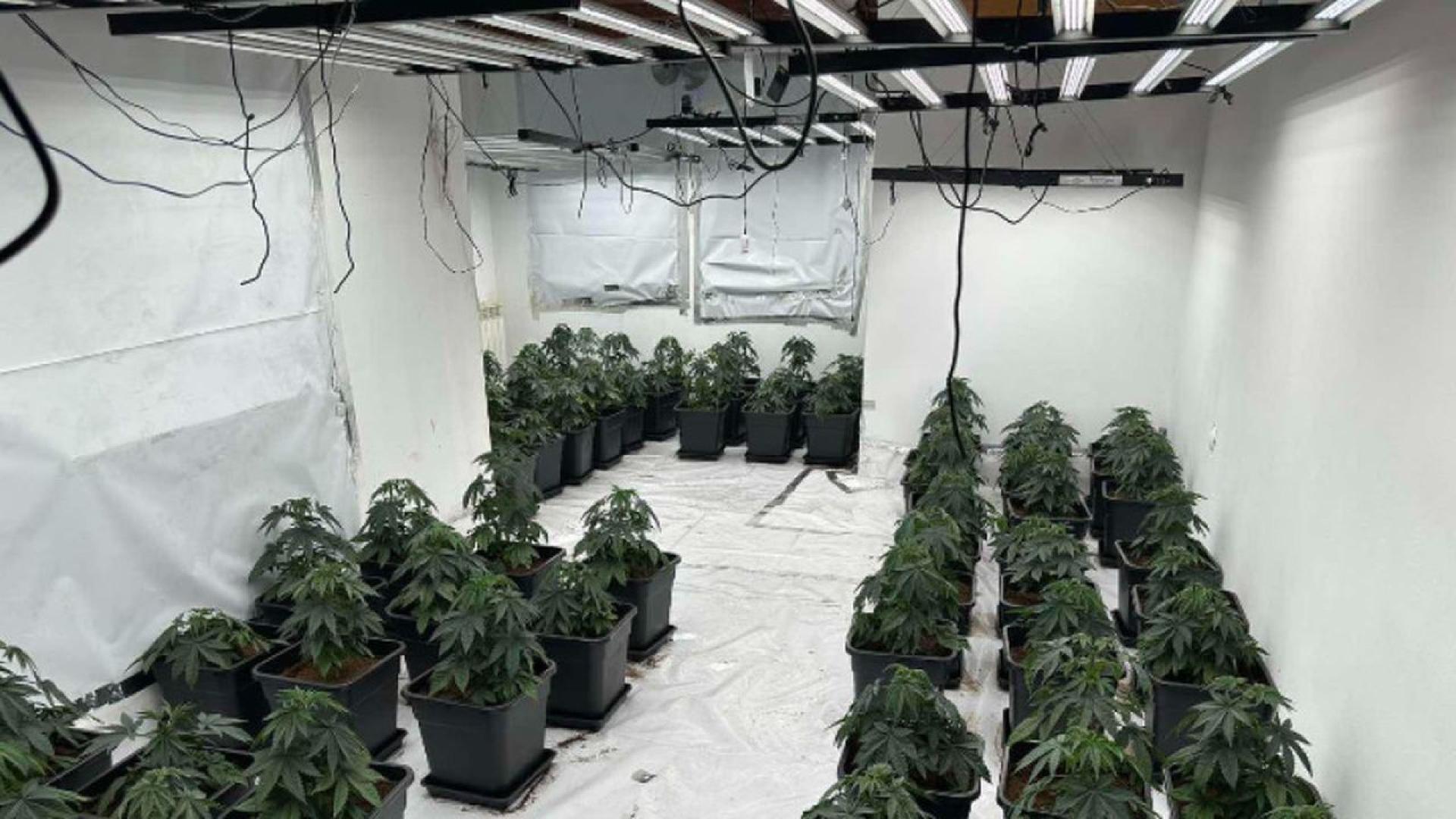 Две високотехнологични нарколаборатории са били разбити в София при провеждане