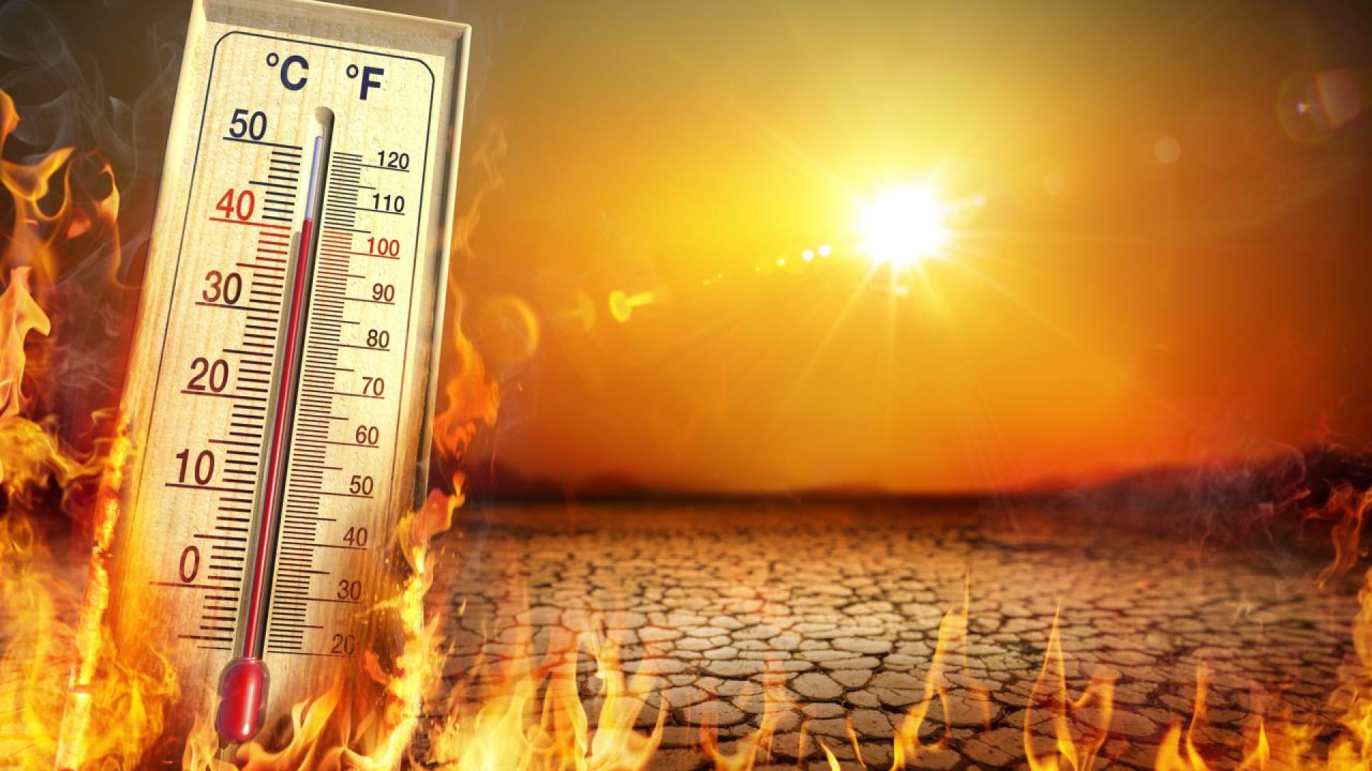 Властите в цяла Европа са под тревога тъй като първата