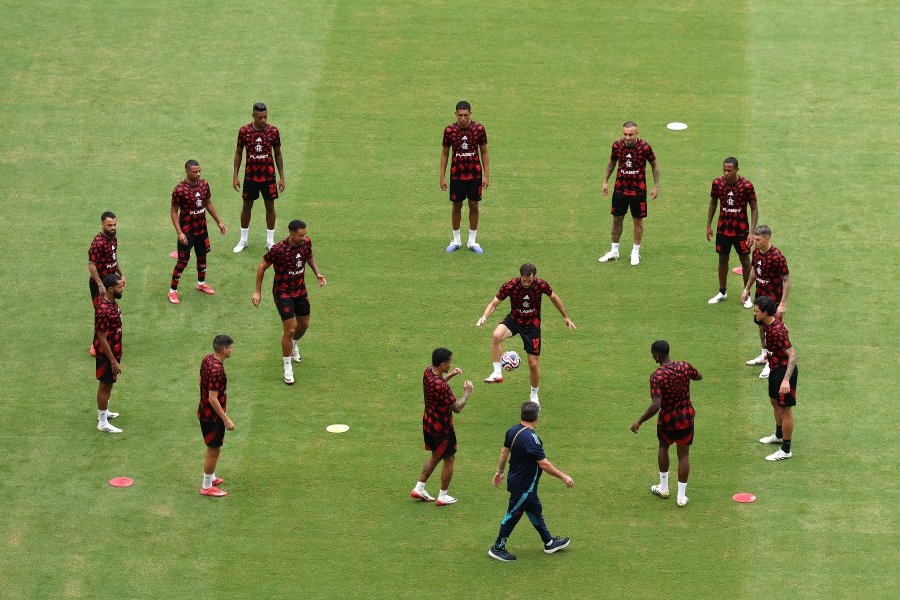 Фламенго Байерн1
