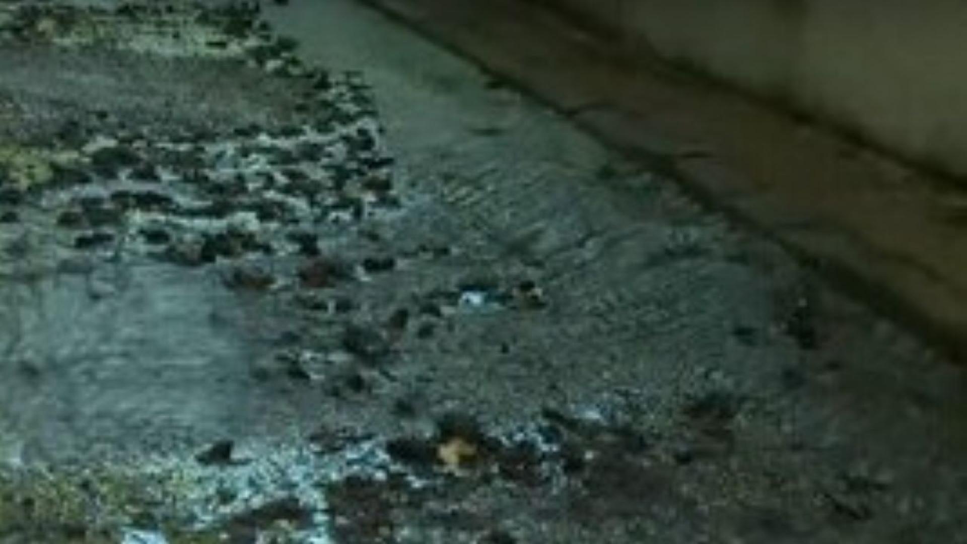 От три седмици тече питейна вода по улиците на Владая