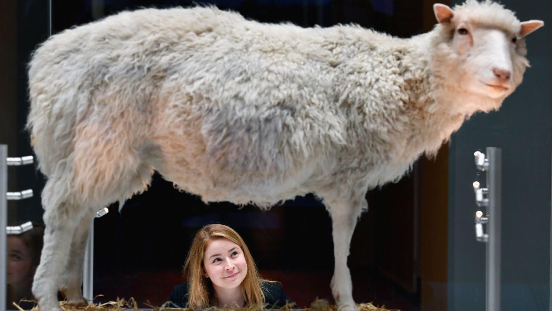 На 5 юли 1996 г се ражда малко сладко женско