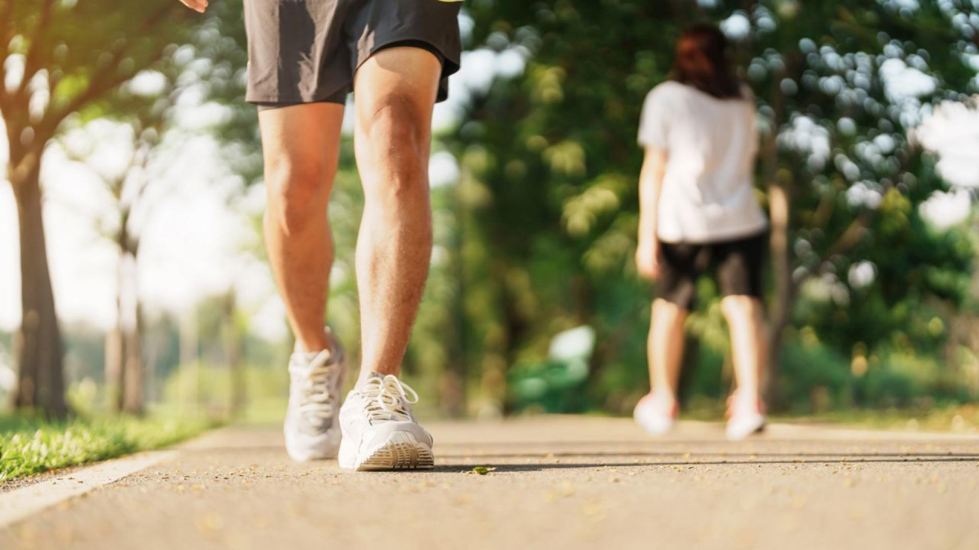 Вднешния свят смартфоните са се превърнали в неразделна част от