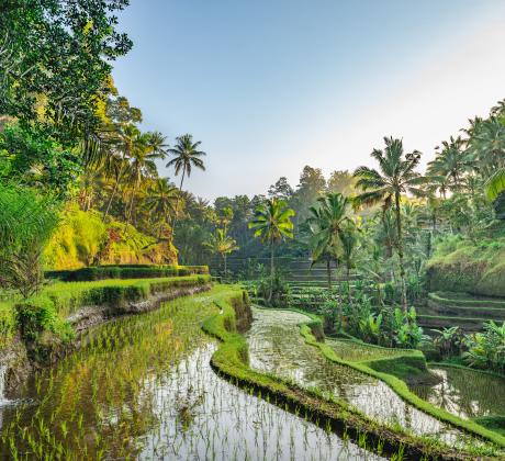 Понякога не ни трябва просто ваканция Не искаме списък със