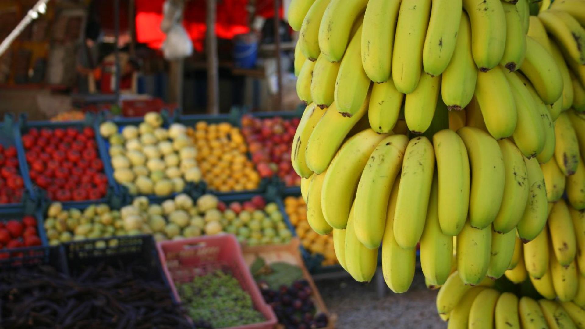 Когато светът се бори с проблеми като социална несправедливост бедност