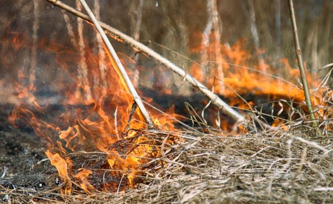 Голям пожар край Троян, гасенето продължи два дни
