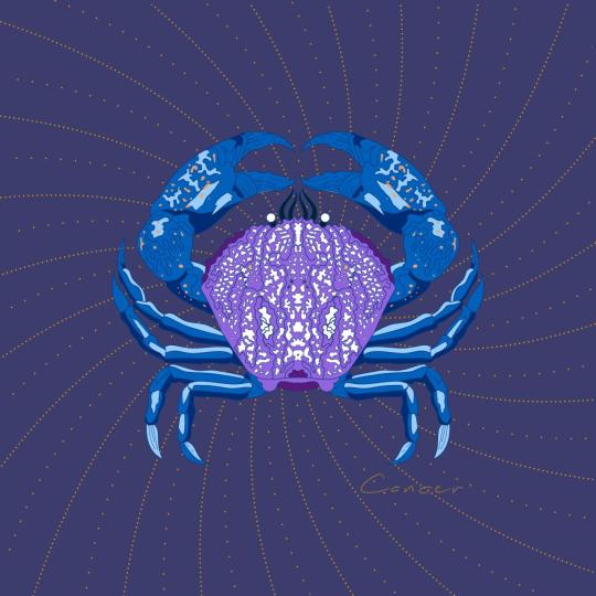 Дневен хороскоп за 3 март, вторник - снимка 4