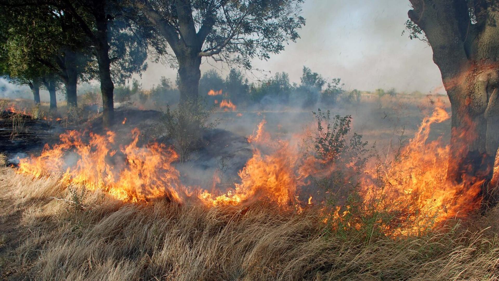През последните дни в няколко области на страната са регистрирани