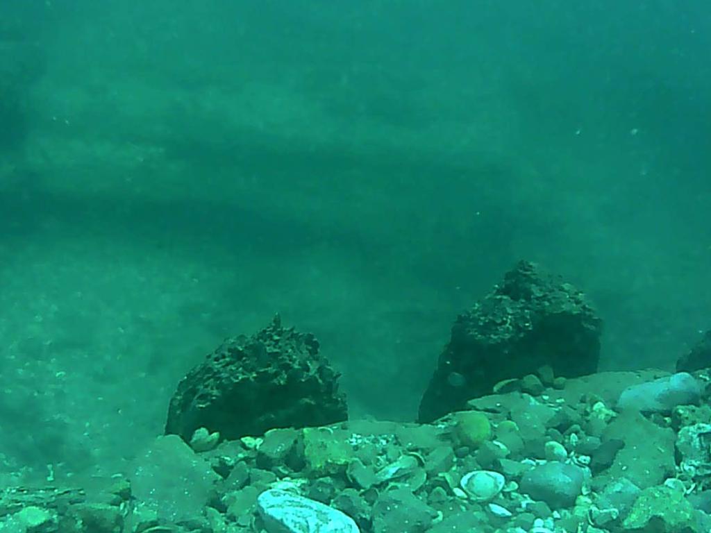 Бургаски водолази се гмурнаха до останки от корабокрушение