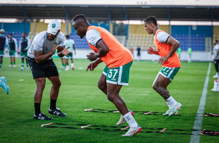 Динамо Минск Лудогорец1