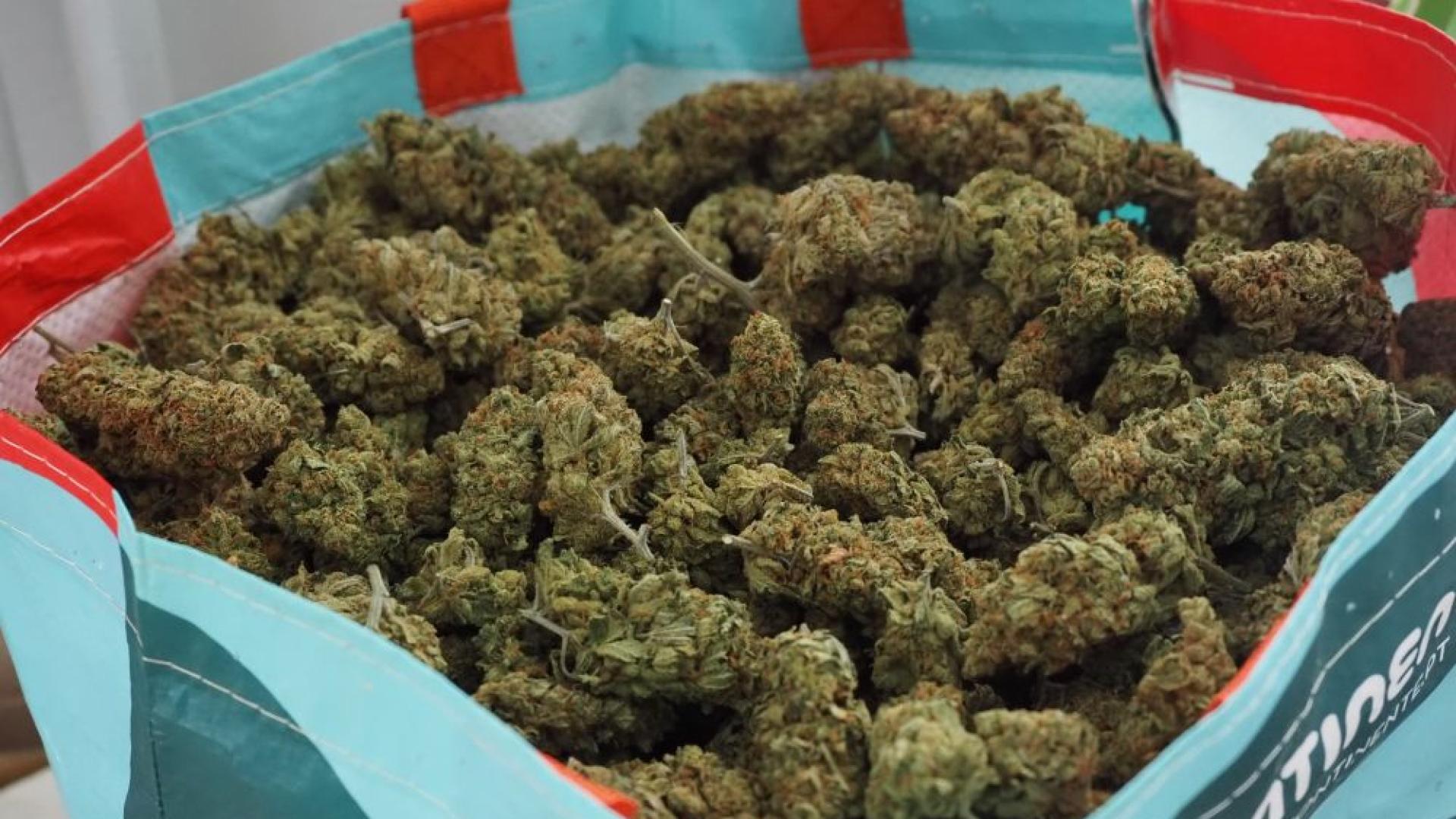 Близо 400 кг марихуана е задържана при операция на Главна дирекция