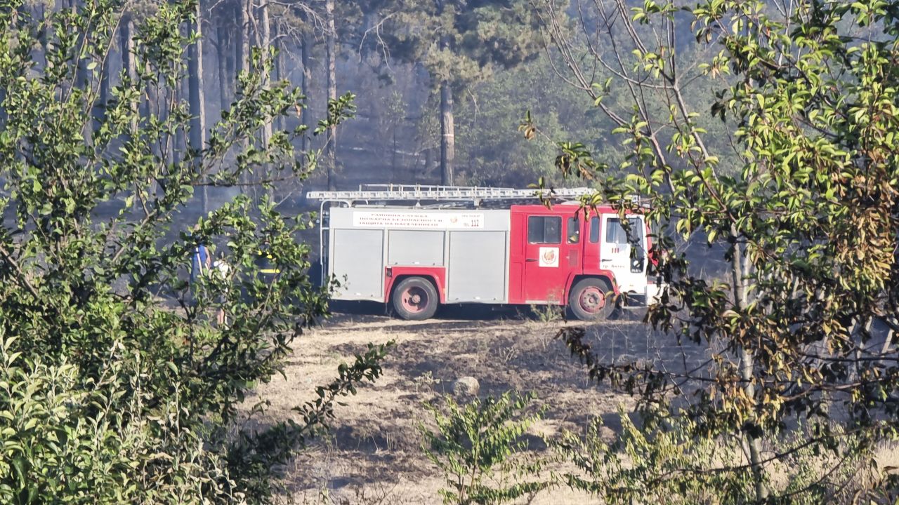 Пожар пламна на плаж "Нестинарка" в Царево