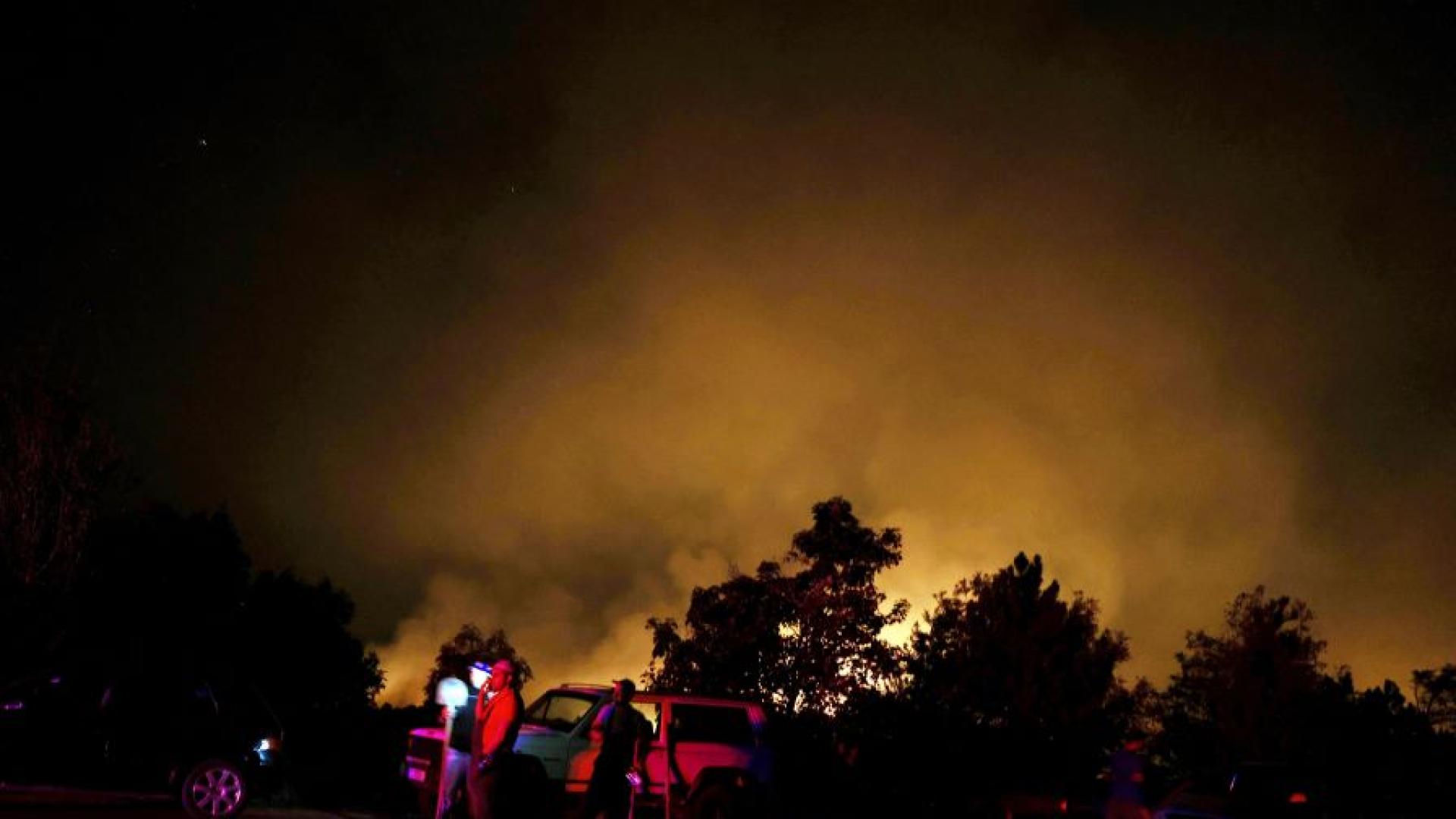 Локализиран е големият пожар край селата Опицвет Безден и Богьовци