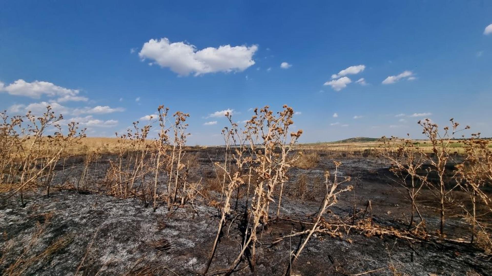 Множество пожари избухнаха на територията на страната в последните часове