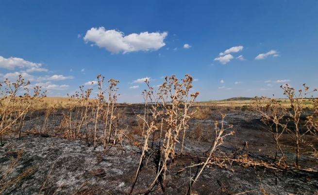 Огнено бедствие: Пожари горят в страната, има евакуирани