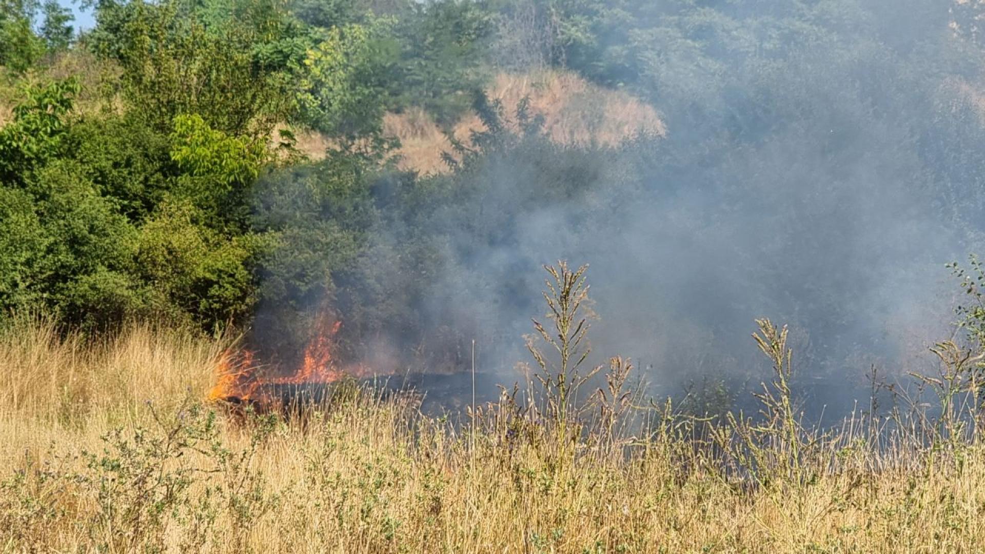Пожар е възникнал в близост до Граничния контролно пропусквателен пункт ГКПП