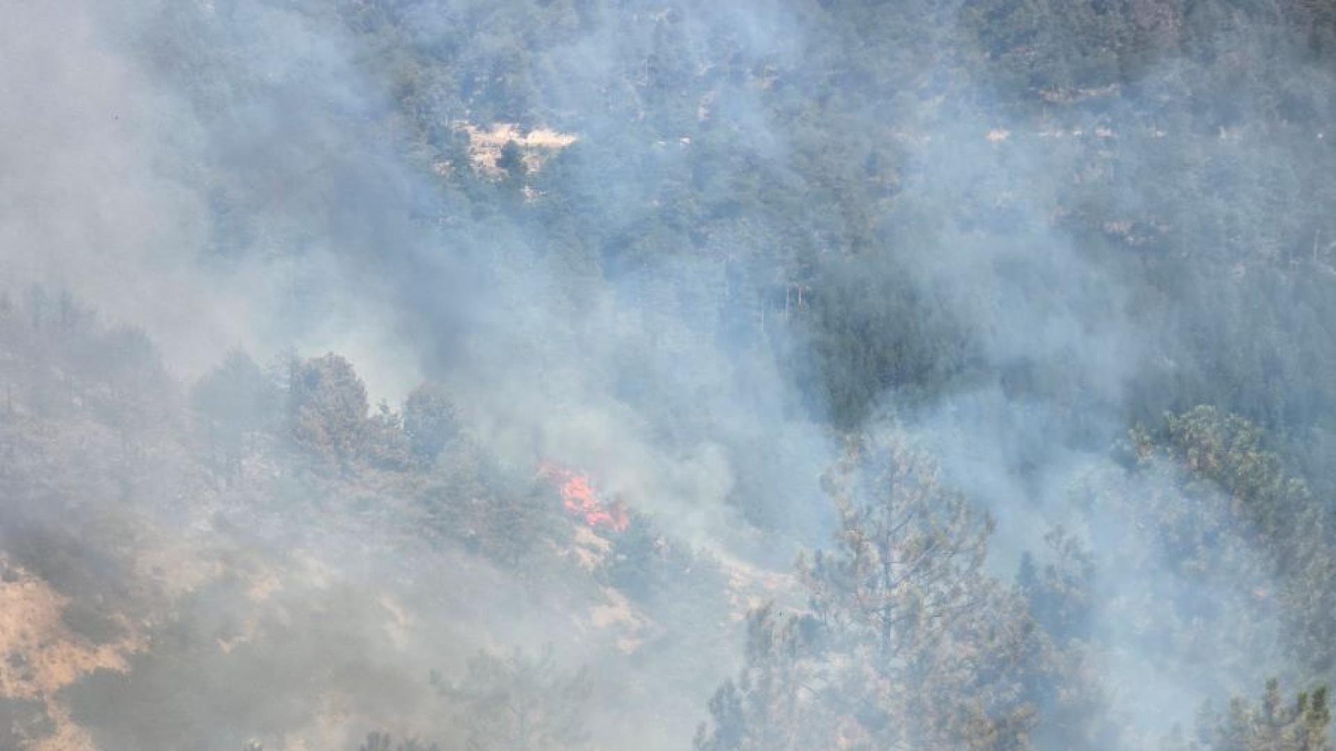 Дългоочакваният дъжд в Пирин заваля Надеждите са че ще бъде