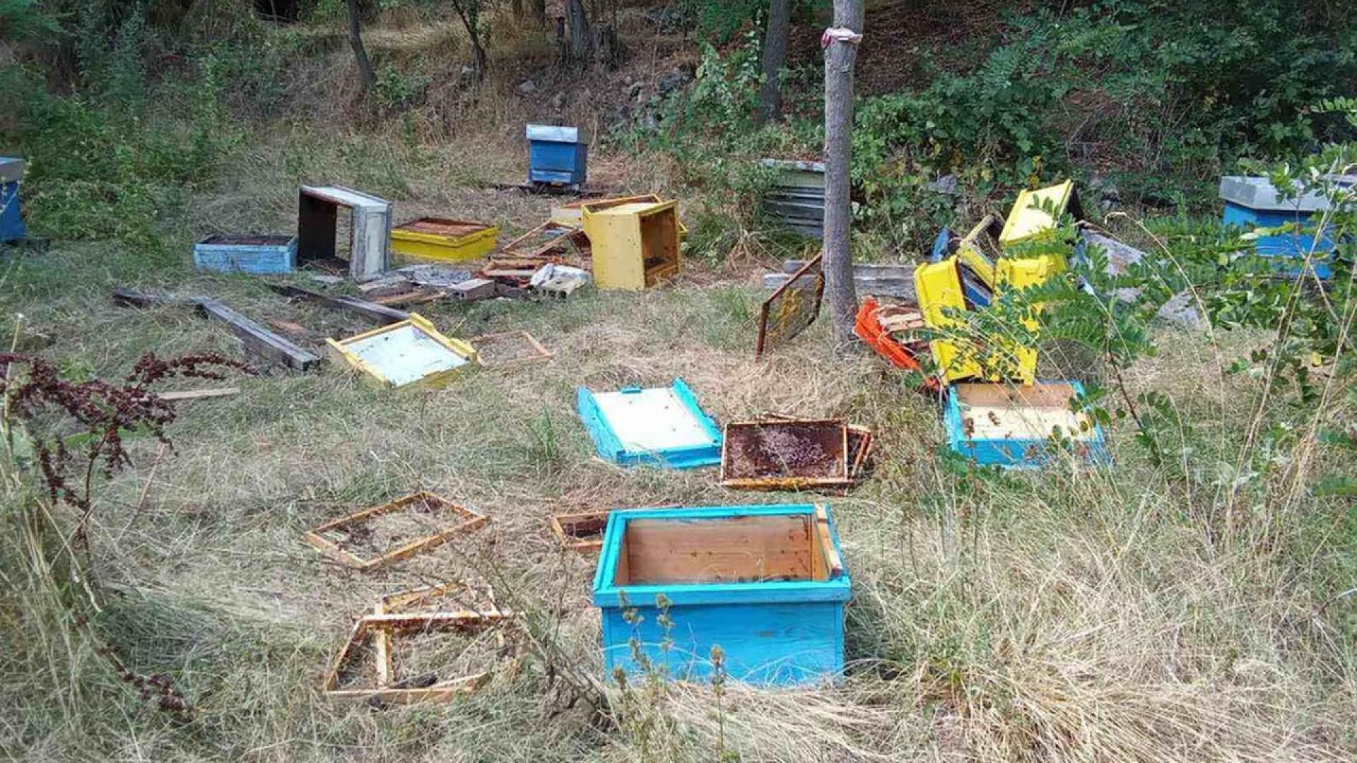 Две мечета нападнаха и опустошиха пчелини в  местността Трифончето край