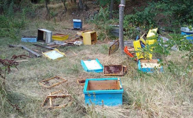 Мечета опустошиха пчелини край град Шипка (СНИМКИ)