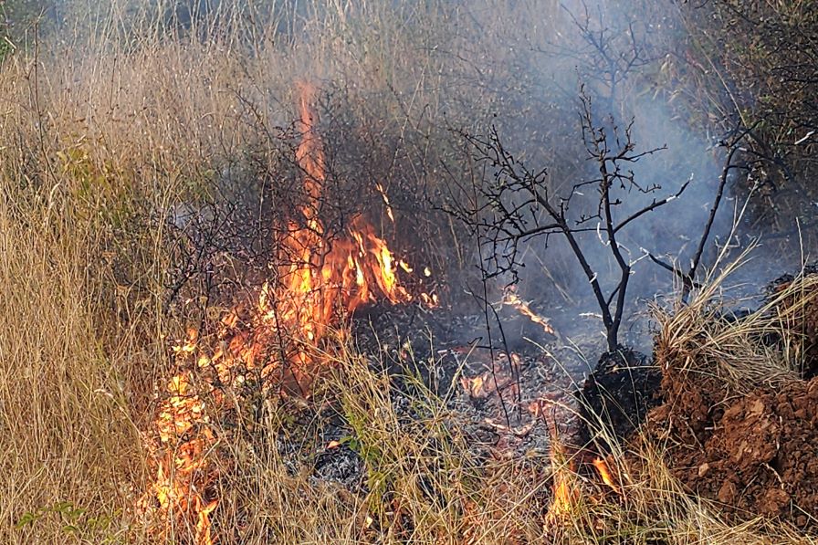 Задържаният за пожара край пътя София - Варна остава в ареста