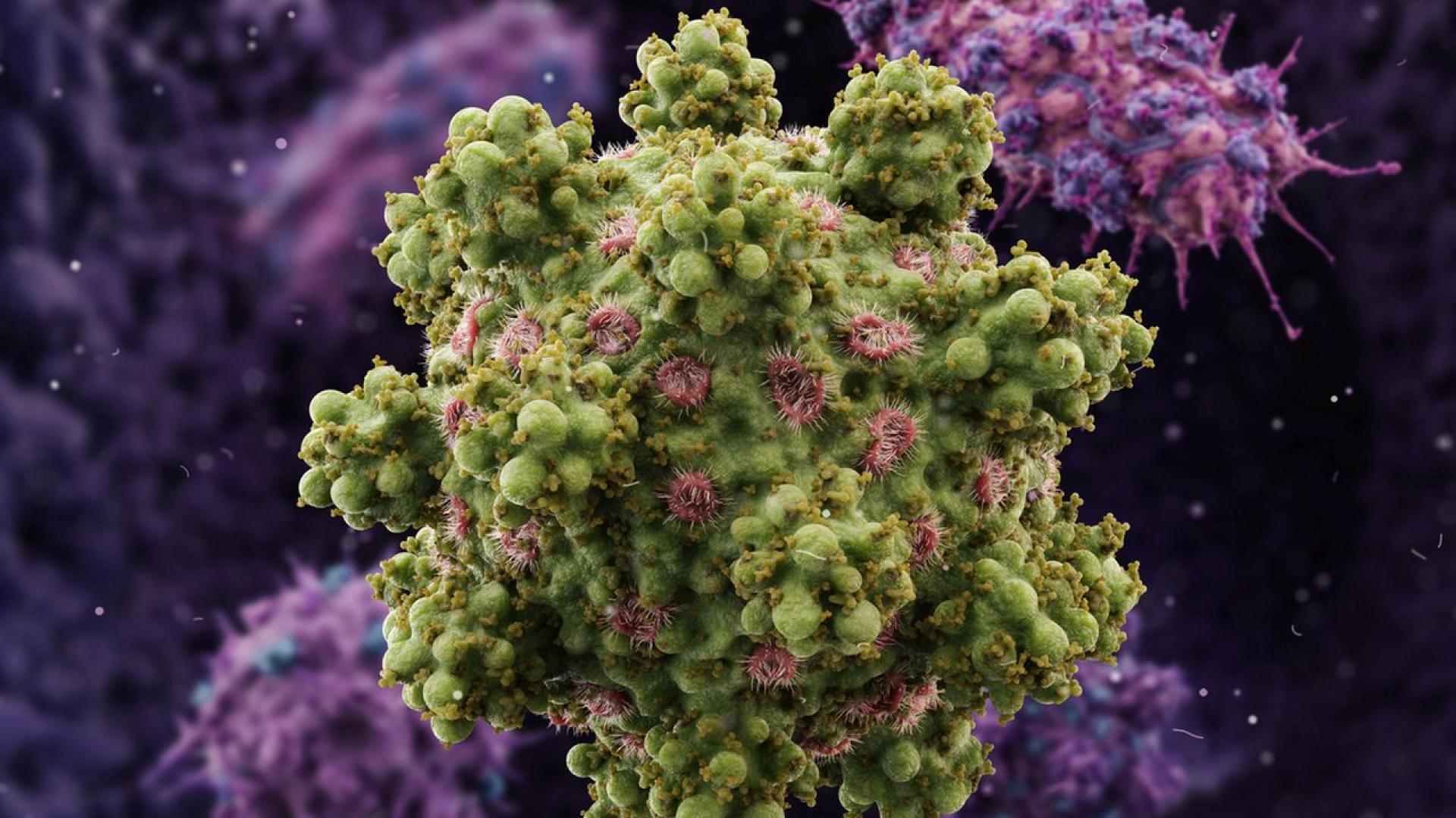 Това е далечен роднина на ХИВ и причинява до 10