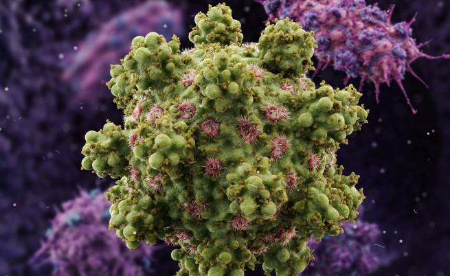 HTLV-1: Смъртоносният вирус, за който никой не говори