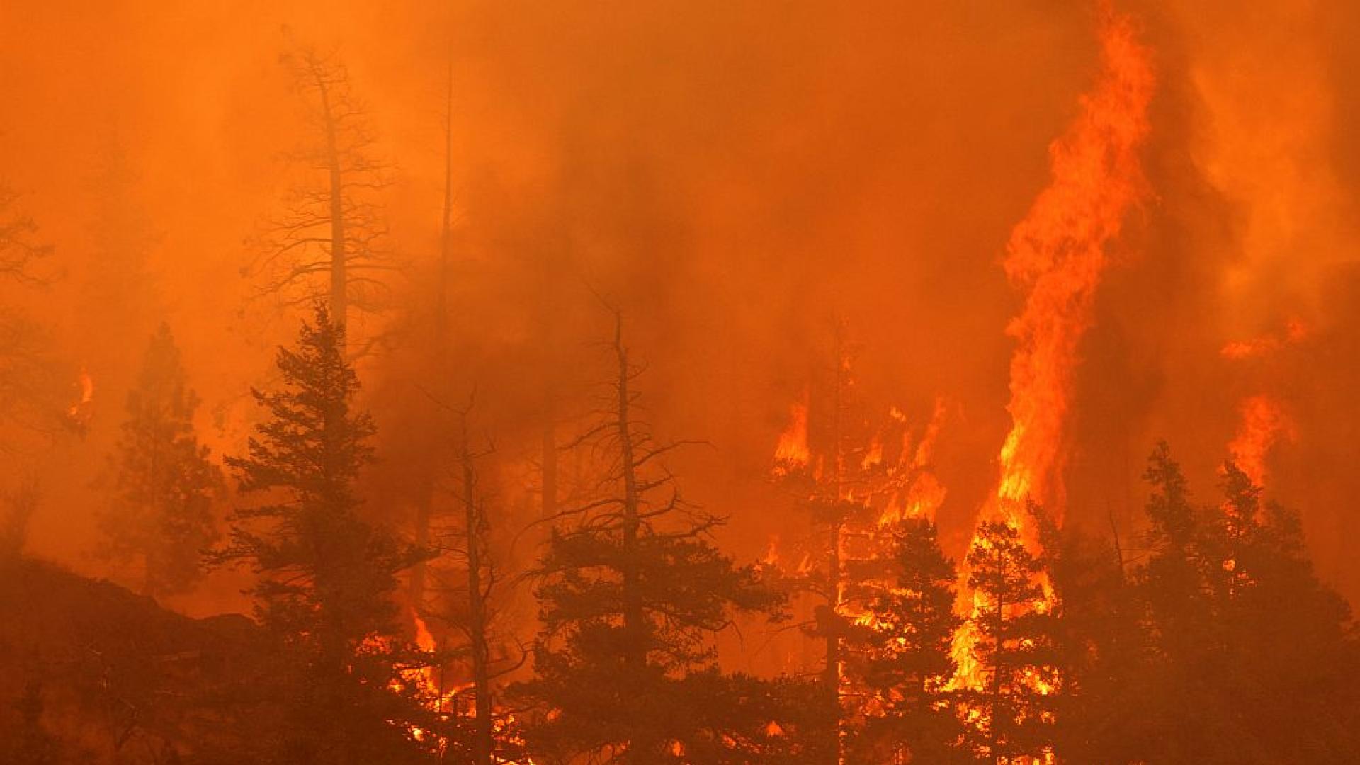 В някои части на Европа днес горят горски пожари а