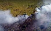 Пожар в защитена местност край Тутракан