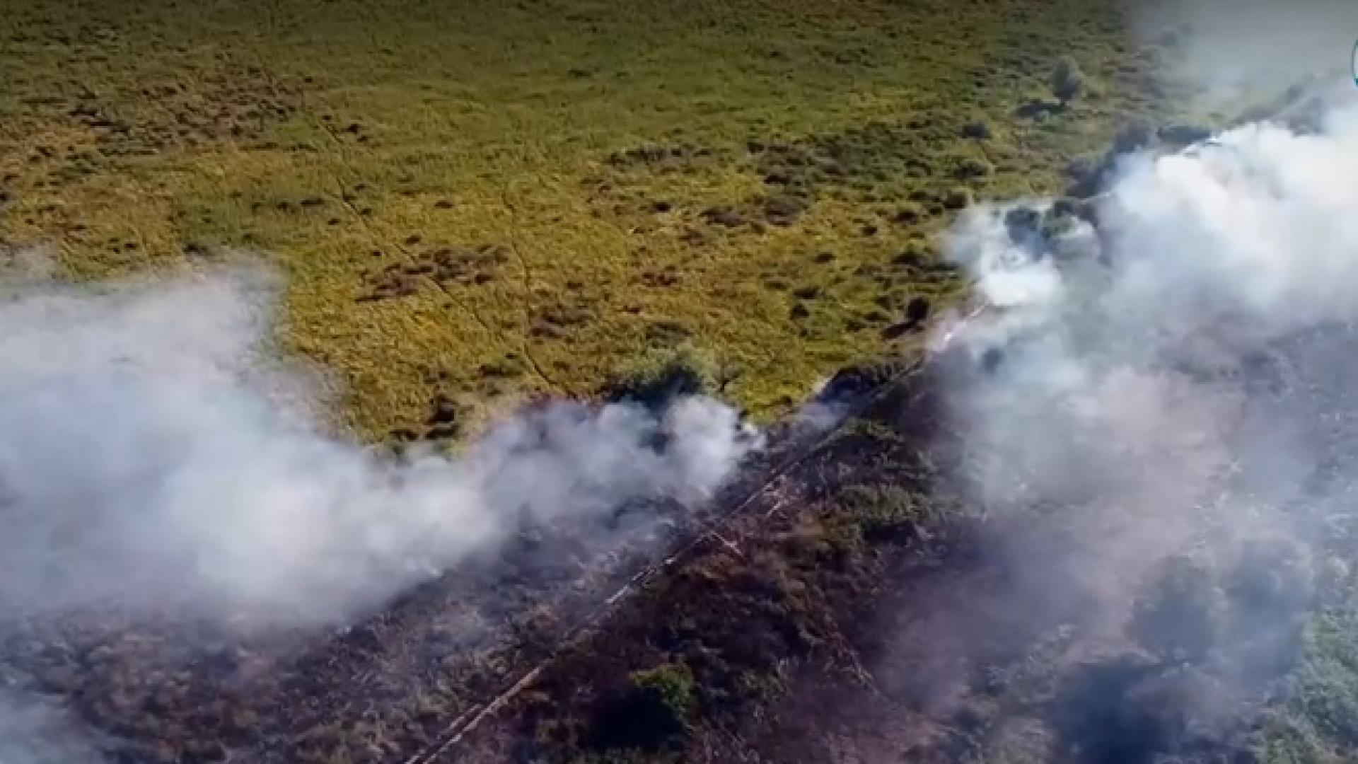 Пожар се разгоря на територията на защитена местност Калимок –