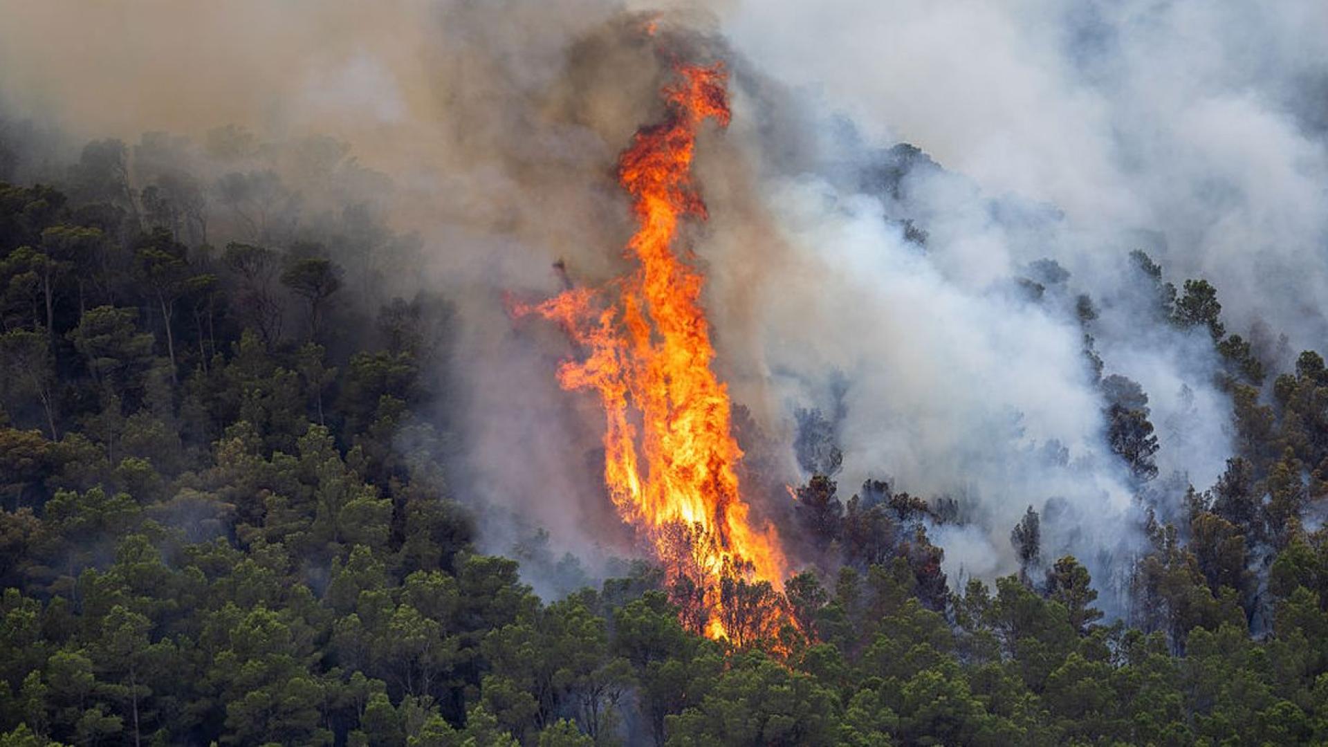 Европейският съюз изпрати два противопожарни самолета в Испания за да