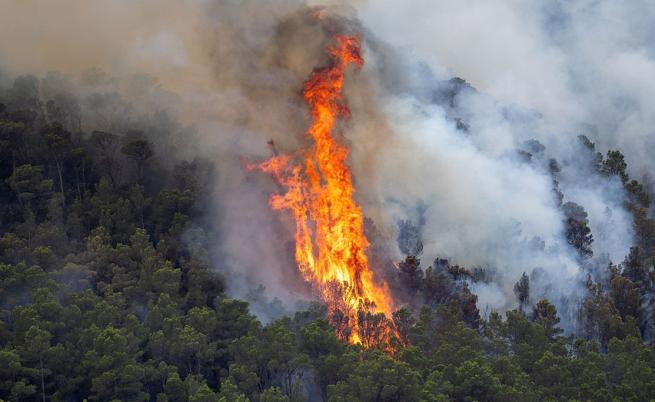 Огромен пожар бушува в Нова Зеландия, горят над 2000 хектара