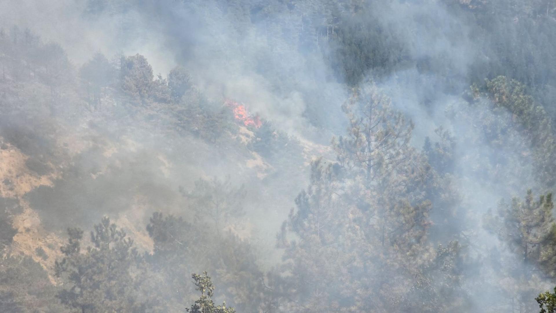 Ново огнище се разгоря над село Илинденци в Пирин планина