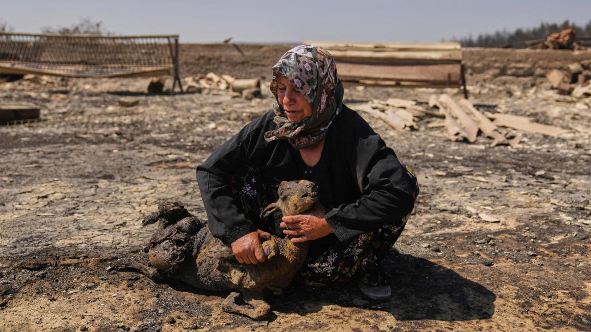 Над 250 души бяха евакуирани през нощта след като горски