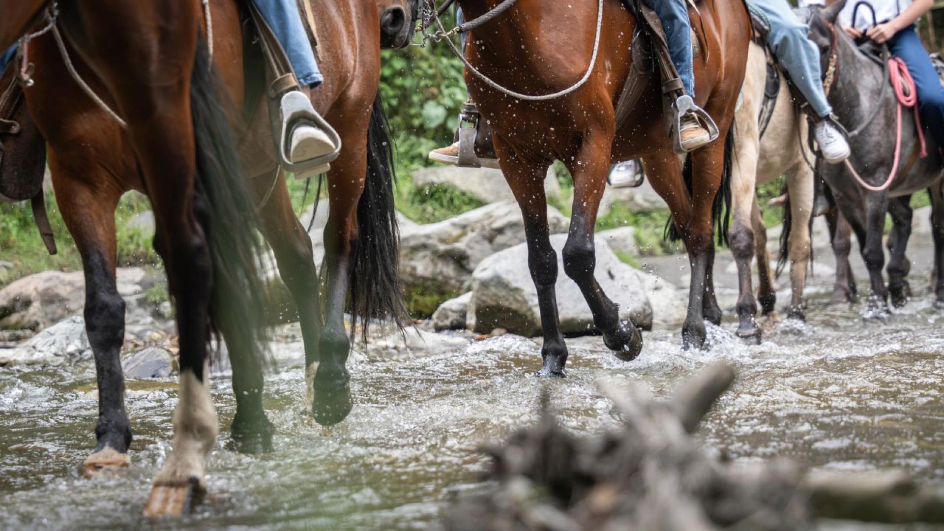 Помислете за Дивия запад и вероятно веднага си представяте каубои