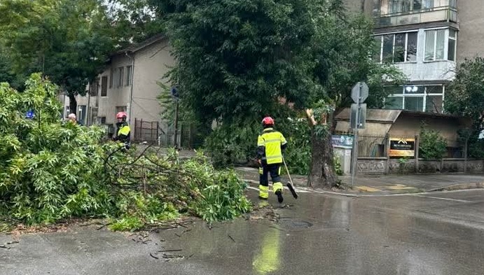 Страшна буря удари Монтана, дървета паднаха върху в автомобили и жици