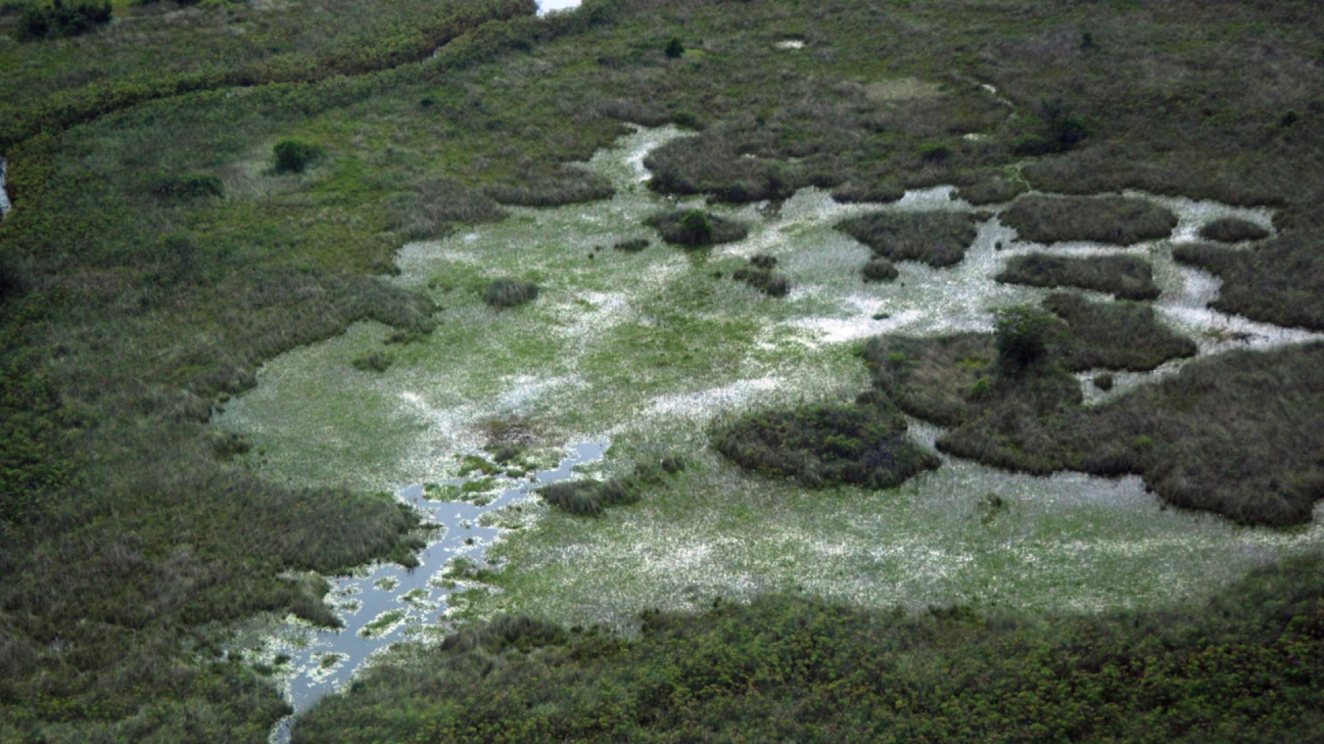 През февруари 2022 г когато Русия настъпваше към Киев Олександър