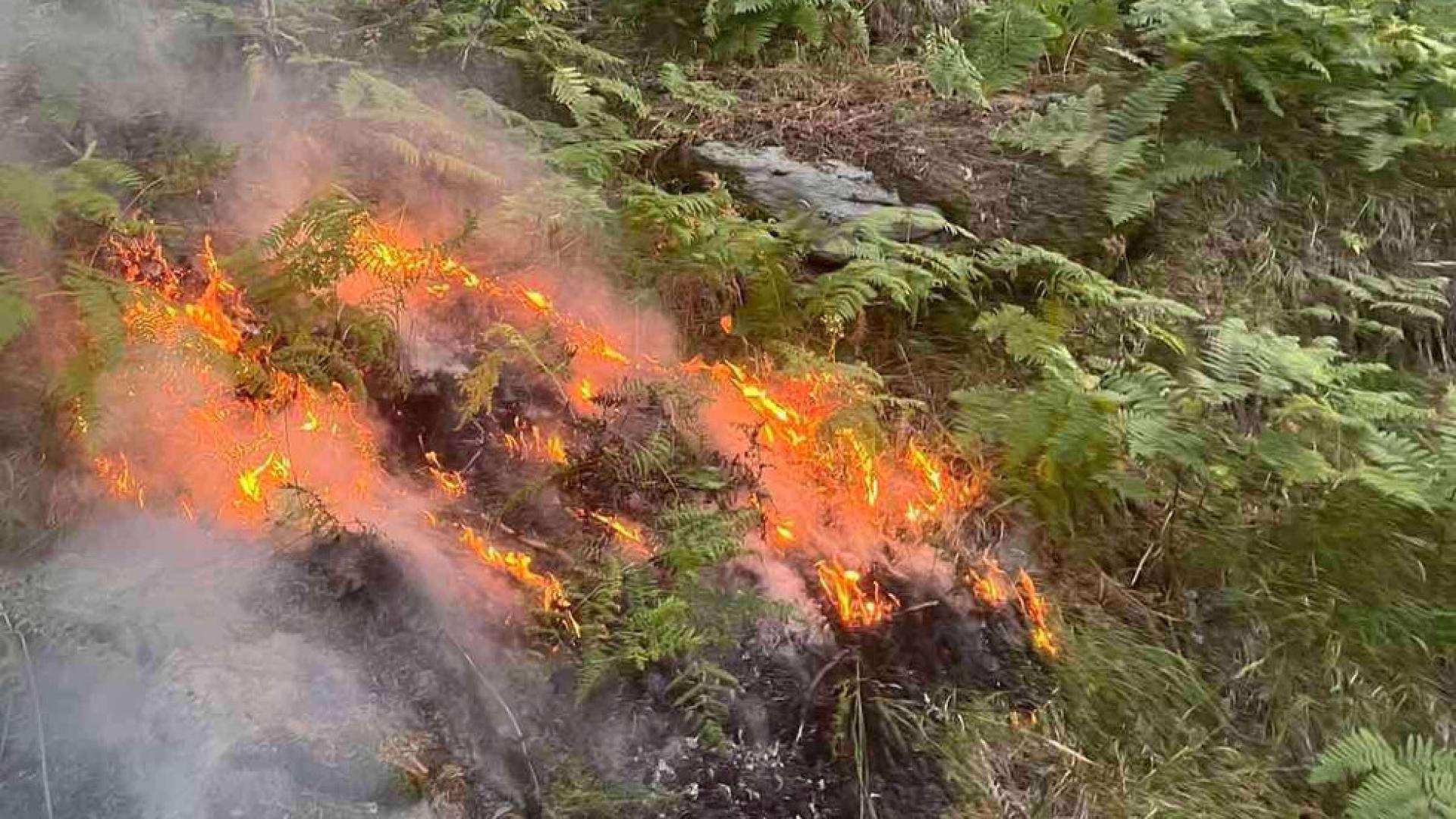Разраства се пожарът в Национален парк Рила над село Горно