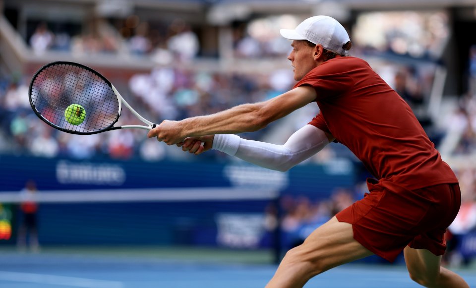 Яник Синер Денис Шаповалов1