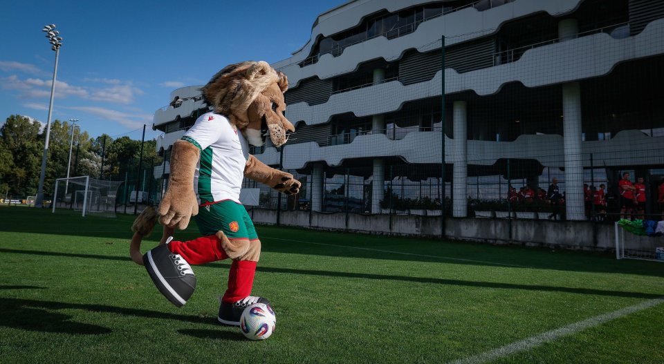 Тренировка на националния отбор на България1