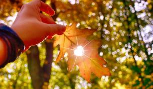 Пролет през есента - четвъртък носи слънце и до 22 градуса