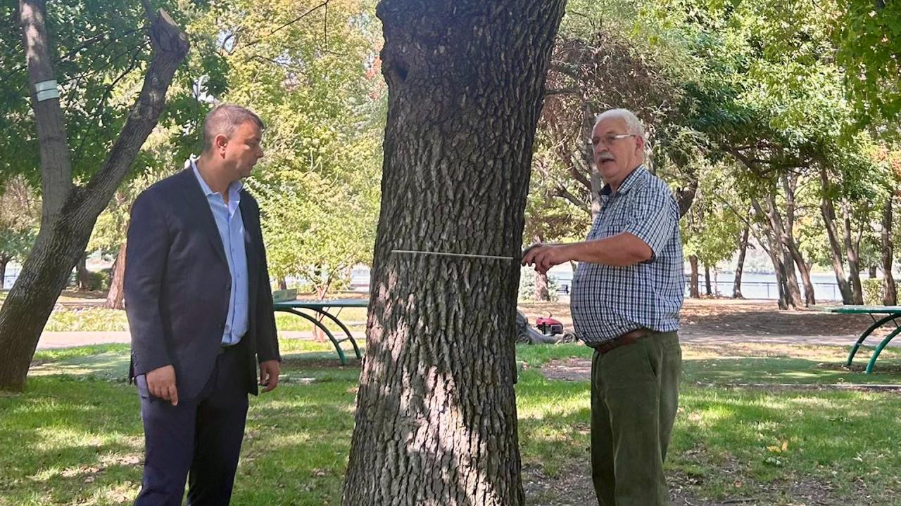 Всяко дърво в Силистра с паспорт