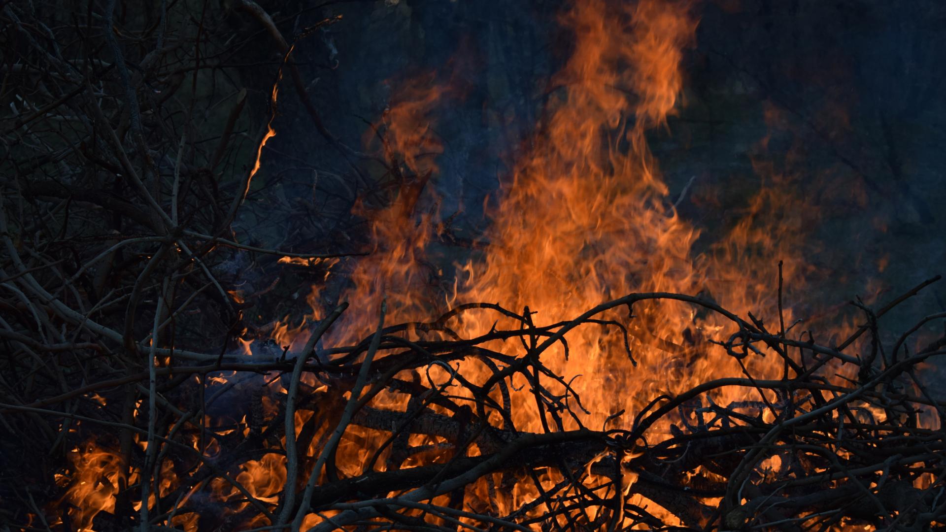 Всички 14 екипа огнеборци които днес участваха в потушаването на